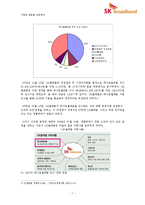 신 시장 진출을 위한 e-파트너십 -SK텔레콤과 하나로통신의 합병사례(SK 브로드밴드)-7