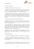 신 시장 진출을 위한 e-파트너십 -SK텔레콤과 하나로통신의 합병사례(SK 브로드밴드)-8