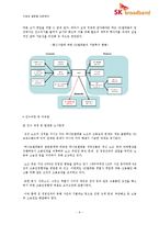 신 시장 진출을 위한 e-파트너십 -SK텔레콤과 하나로통신의 합병사례(SK 브로드밴드)-9
