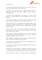 신 시장 진출을 위한 e-파트너십 -SK텔레콤과 하나로통신의 합병사례(SK 브로드밴드)-11