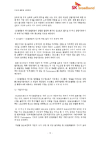 신 시장 진출을 위한 e-파트너십 -SK텔레콤과 하나로통신의 합병사례(SK 브로드밴드)-12