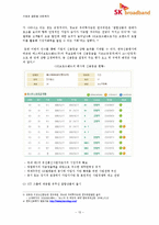신 시장 진출을 위한 e-파트너십 -SK텔레콤과 하나로통신의 합병사례(SK 브로드밴드)-13