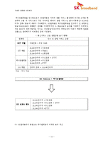 신 시장 진출을 위한 e-파트너십 -SK텔레콤과 하나로통신의 합병사례(SK 브로드밴드)-14