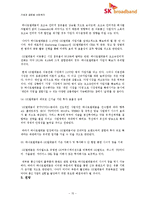 신 시장 진출을 위한 e-파트너십 -SK텔레콤과 하나로통신의 합병사례(SK 브로드밴드)-15