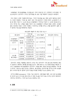 신 시장 진출을 위한 e-파트너십 -SK텔레콤과 하나로통신의 합병사례(SK 브로드밴드)-16