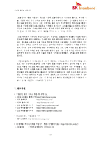 신 시장 진출을 위한 e-파트너십 -SK텔레콤과 하나로통신의 합병사례(SK 브로드밴드)-17