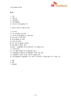 신 시장 진출을 위한 e-파트너십 -SK텔레콤과 하나로통신의 합병사례(SK 브로드밴드)-19