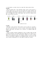 [마케팅] 모토로라 기업의 `MS700(크레이져)` 핸드폰 사례 분석-18