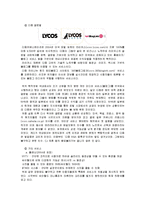 [마케팅] 인터넷 포털 Daum 다음 인터넷서비스분석 및 실패분석-14