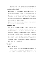 [국제경영] 칠성사이다 UAE 진출 전략-5