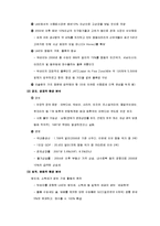 [국제경영] 칠성사이다 UAE 진출 전략-6