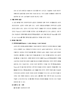 [국제경영] 칠성사이다 UAE 진출 전략-8
