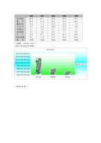 [국제경영] 칠성사이다 UAE 진출 전략-12