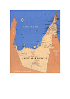 [국제경영] 칠성사이다 UAE 진출 전략-14