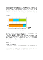 [마케팅] 롯데 면브랜드 `본미`의 문제인식과 새로운 전략 수립-9