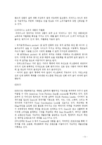 [국제마케팅] 청바지산업 중국시장 진출전략-5
