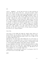 [국제마케팅] 청바지산업 중국시장 진출전략-6