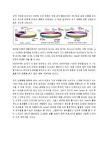 [마케팅] 삼성전자 옙 yepp 마케팅전략-11