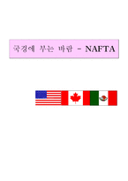 [경제발전] NAFTA 체결이 미치는 영향과 대응-1