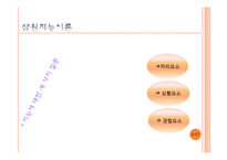 [교육심리] 지능과 개인차 중 삼원지능이론-5