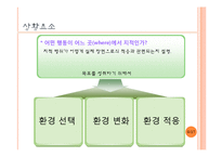 [교육심리] 지능과 개인차 중 삼원지능이론-8