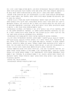 [철학] 비트겐슈타인과 모더니즘-2