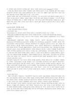 [철학] 비트겐슈타인과 모더니즘-4