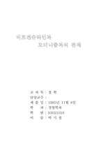 [철학] 비트겐슈타인과 모더니즘-7