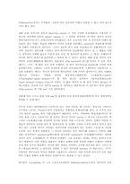 [철학] 탄트리즘의 개념.-9