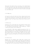 [철학] 탄트리즘의 개념.-13
