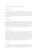 [철학] 탄트리즘의 개념.-14