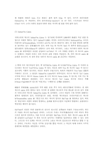 [철학] 탄트리즘의 개념.-15