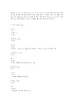 [철학] 탄트리즘의 개념.-16