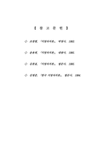 [행정] 중앙정부와 지자체 간의 관계-16