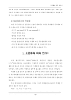 [환경] 오존에 대한 보고서-3