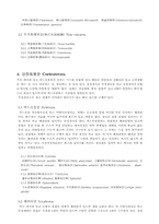 [환경미생물학]동물 분류표-4