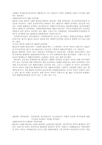 [회계학]현대자동차와 아시아차의 재무제표분석-13