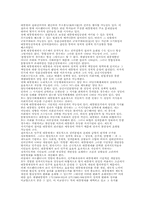 대통령제와 그 정치적 개연성의 문제-아르헨티나 사례-11