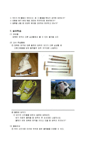 [초등과학, 교육방법] 탐구 학습 모형-9