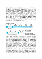 [교육학] 운동선수에게 과연 교육학습이 필요한가-13