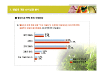 [사업계획서] 지방자치단체 특산물 웰빙인증 사업계획서-13