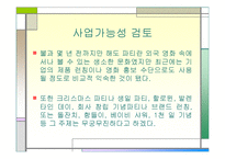 [사업계획서] 파티플랜 & 이벤트기획-9