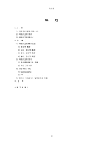 [광고론] 국제광고-2