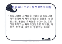 [지적재산권] 컴퓨터 프로그램 보호법-11