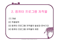 [지적재산권] 컴퓨터 프로그램 보호법-18
