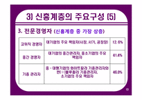 중국의 중산층 실태 -신흥계층-13