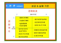 [지역축제] 한국지역축제의 현황과 개선방향-9