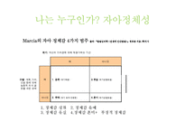 [심리학] 대학생의 심리적, 발달적 과업-12