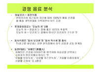 [광고기획서] 17차 광고기획서-14