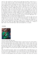 [미국문화] 힙합-9